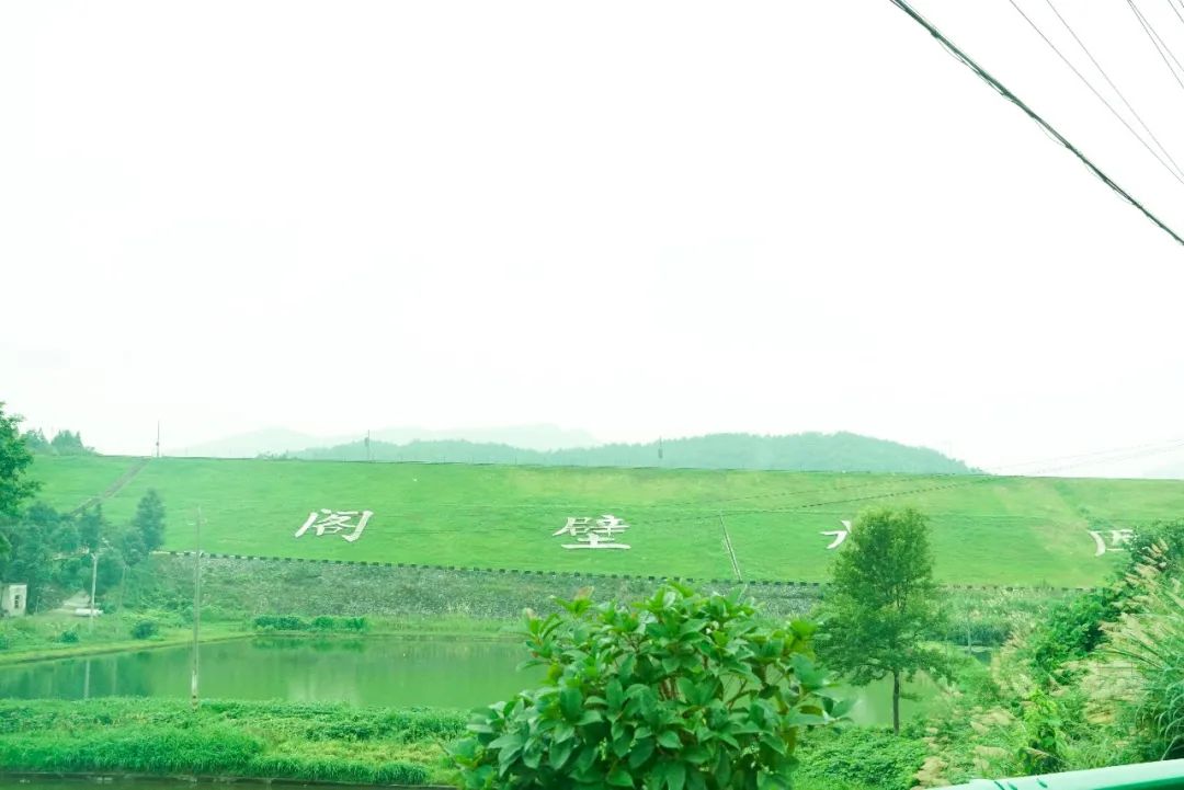 微信圖片_5.jpg 微信圖片_5.jpg